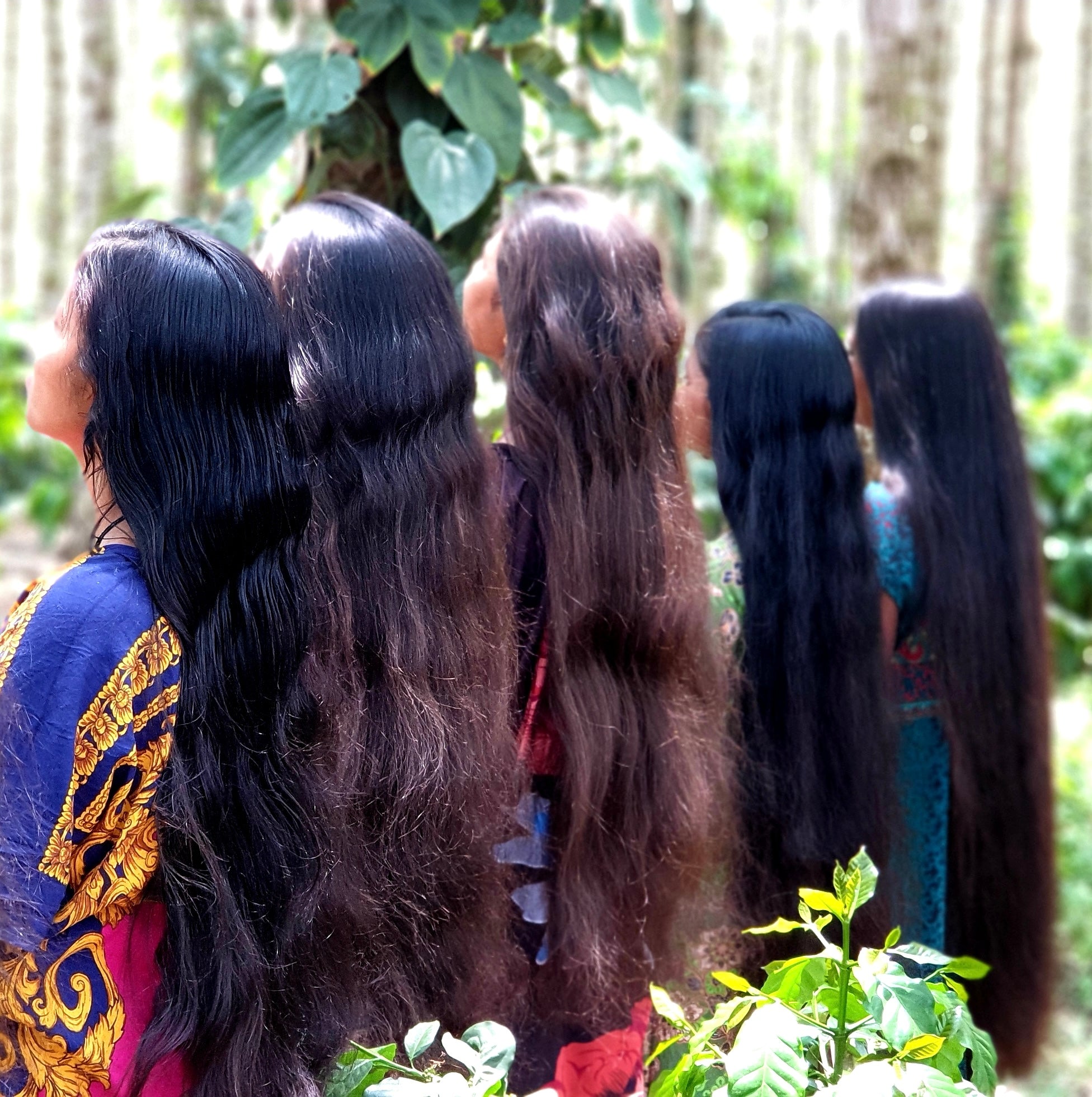 NEELAMBARI ADIVASI HAIR GROWTH OIL