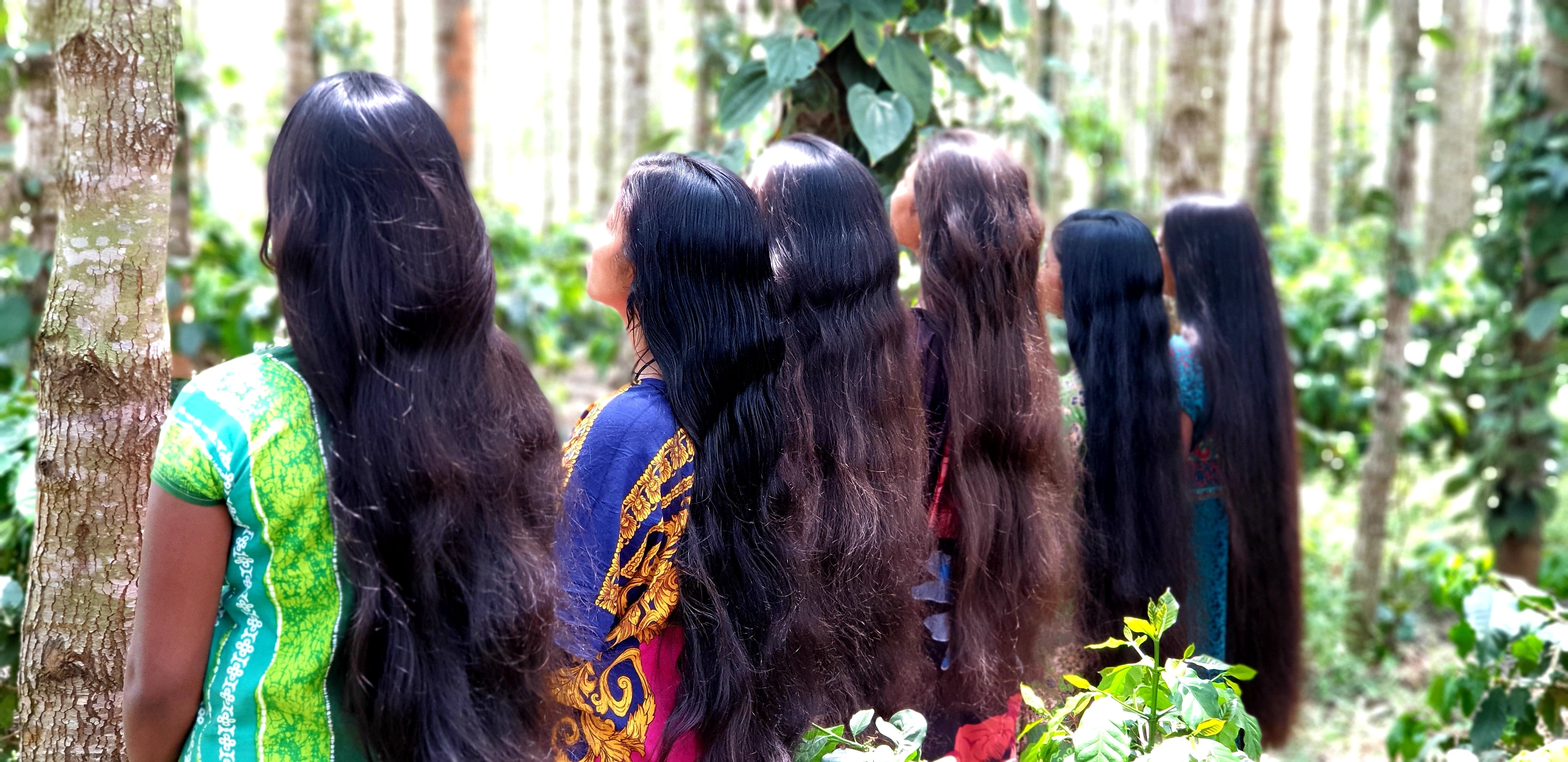 NEELAMBARI ADIVASI HAIR GROWTH OIL